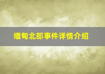 缅甸北部事件详情介绍