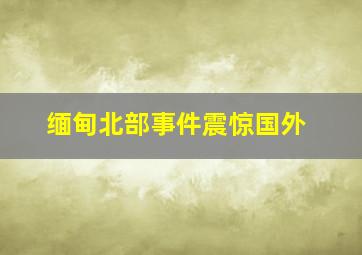 缅甸北部事件震惊国外