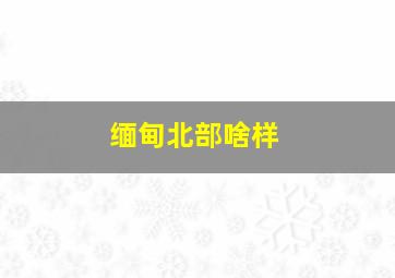 缅甸北部啥样