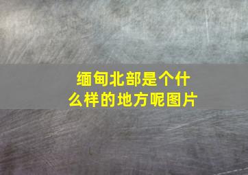 缅甸北部是个什么样的地方呢图片