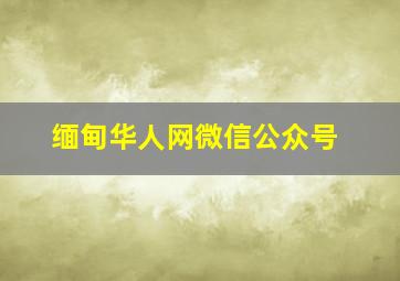 缅甸华人网微信公众号