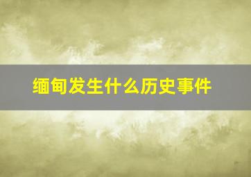 缅甸发生什么历史事件