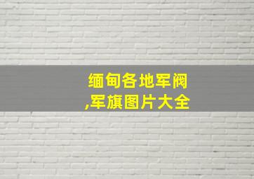 缅甸各地军阀,军旗图片大全