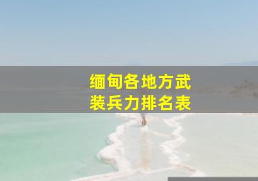 缅甸各地方武装兵力排名表