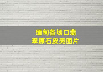 缅甸各场口翡翠原石皮壳图片