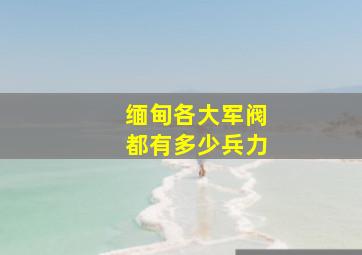 缅甸各大军阀都有多少兵力