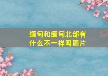 缅甸和缅甸北部有什么不一样吗图片