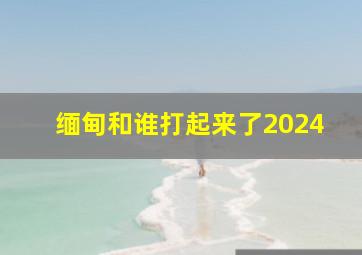 缅甸和谁打起来了2024