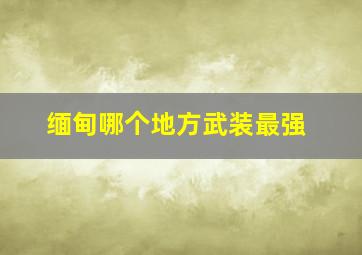 缅甸哪个地方武装最强