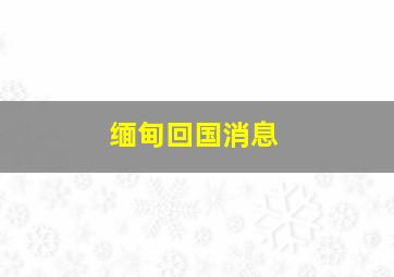 缅甸回国消息