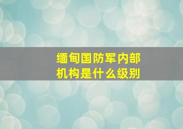 缅甸国防军内部机构是什么级别