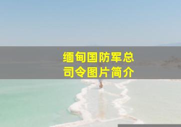 缅甸国防军总司令图片简介