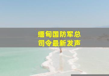 缅甸国防军总司令最新发声