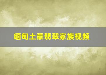 缅甸土豪翡翠家族视频