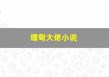 缅甸大佬小说