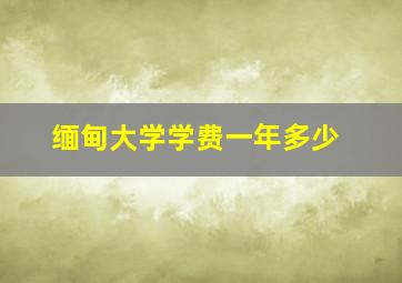 缅甸大学学费一年多少