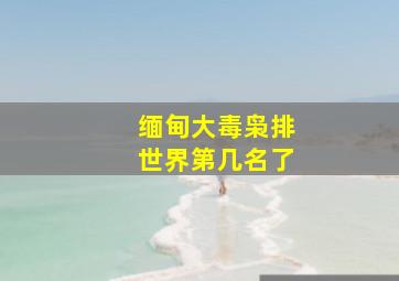 缅甸大毒枭排世界第几名了