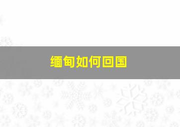 缅甸如何回国