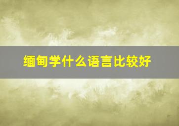 缅甸学什么语言比较好