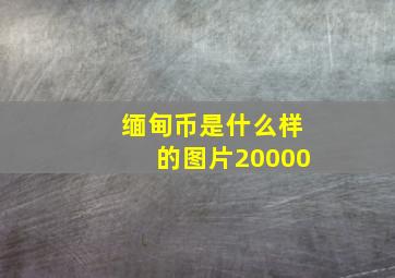 缅甸币是什么样的图片20000