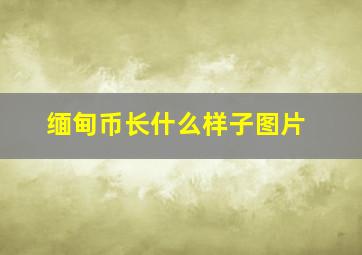 缅甸币长什么样子图片