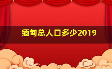 缅甸总人口多少2019