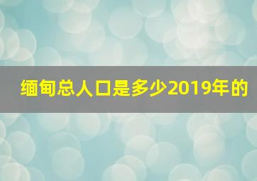 缅甸总人口是多少2019年的