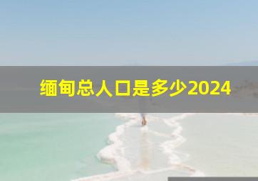 缅甸总人口是多少2024