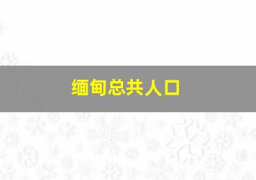 缅甸总共人口