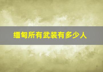 缅甸所有武装有多少人