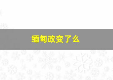 缅甸政变了么