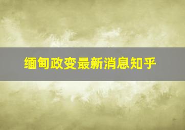 缅甸政变最新消息知乎