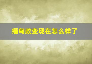 缅甸政变现在怎么样了