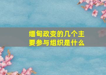 缅甸政变的几个主要参与组织是什么