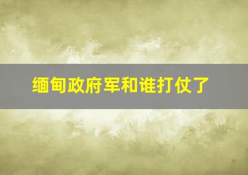 缅甸政府军和谁打仗了