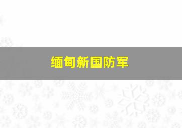 缅甸新国防军