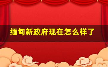 缅甸新政府现在怎么样了