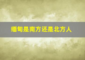 缅甸是南方还是北方人