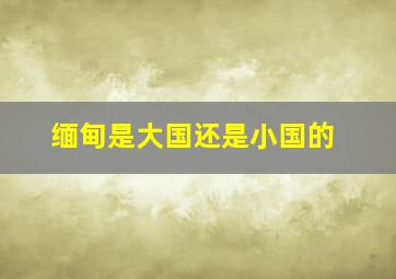 缅甸是大国还是小国的