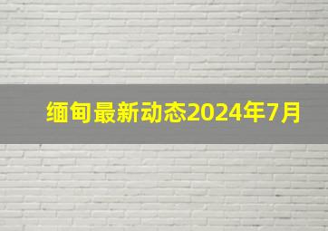 缅甸最新动态2024年7月