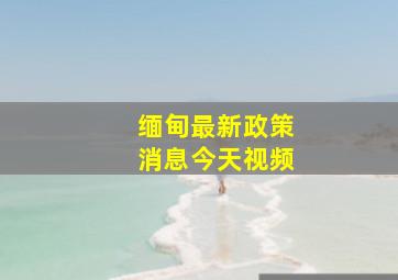 缅甸最新政策消息今天视频