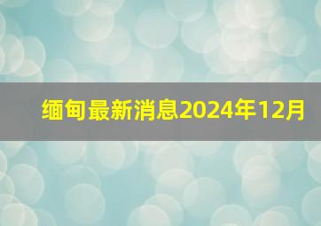 缅甸最新消息2024年12月