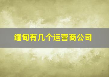 缅甸有几个运营商公司