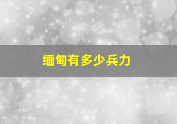 缅甸有多少兵力