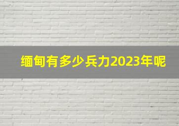 缅甸有多少兵力2023年呢