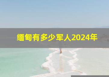 缅甸有多少军人2024年