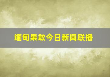 缅甸果敢今日新闻联播