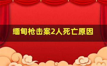 缅甸枪击案2人死亡原因