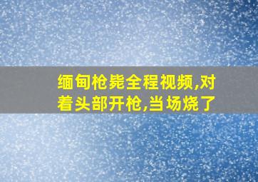 缅甸枪毙全程视频,对着头部开枪,当场烧了