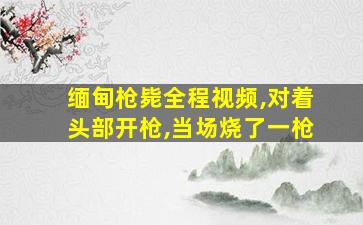 缅甸枪毙全程视频,对着头部开枪,当场烧了一枪